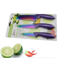 Cuchillo de cocina plástico colorido de la manija 3PCS fijado (SE-3542)